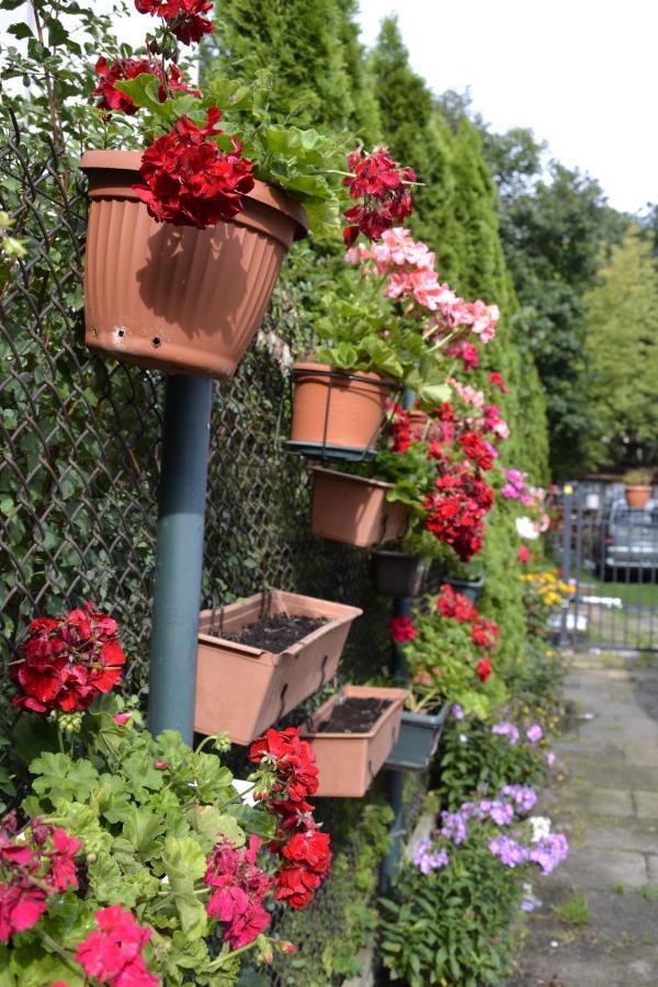 Bed and Breakfast Warszawa Stare Bielany Екстер'єр фото